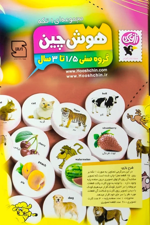 هوش چین 2 تکه